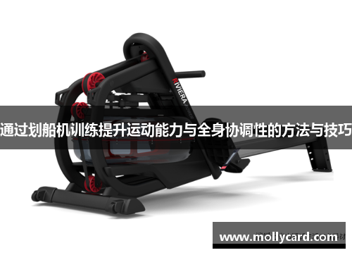 通过划船机训练提升运动能力与全身协调性的方法与技巧